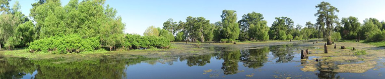 Atchafalaya Basin