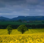 North York Moors National Park