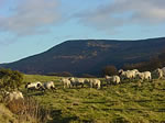 North Yorkshire